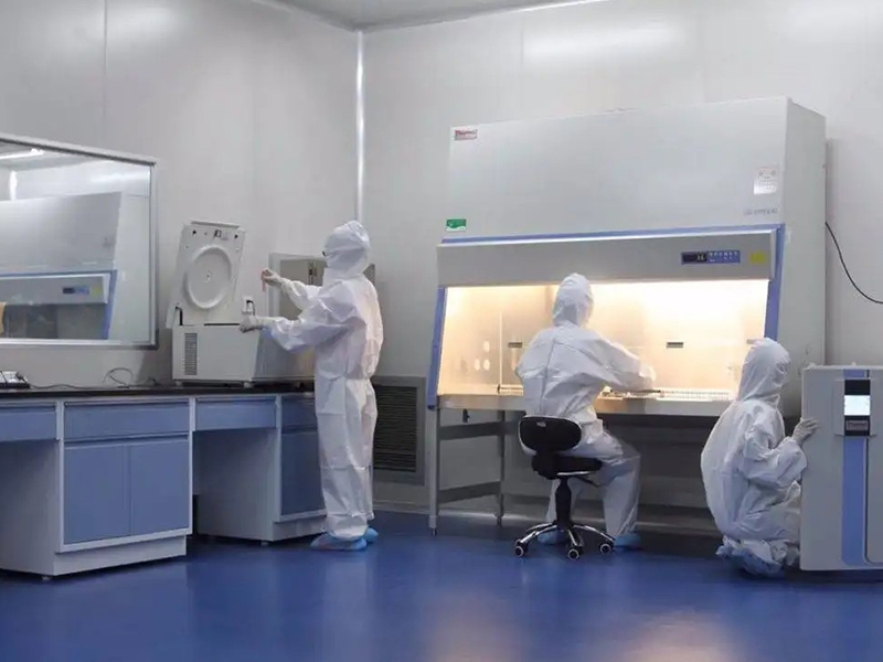 Why Silicone Rubber Products Are Truly Environmentally Friendly: The Science Behind Sustainable Medical Materials